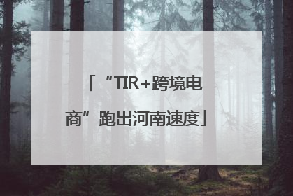 “TIR+跨境电商”跑出河南速度