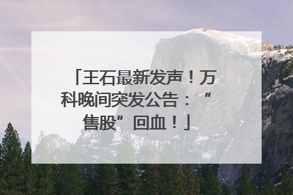 王石最新发声！万科晚间突发公告：“售股”回血！