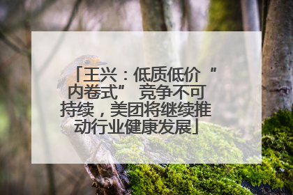 王兴：低质低价“内卷式” 竞争不可持续，美团将继续推动行业健康发展