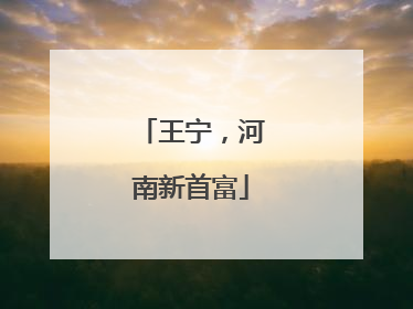 王宁，河南新首富