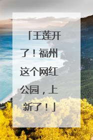 王莲开了！福州这个网红公园，上新了！