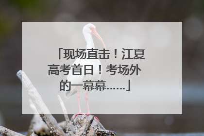 现场直击！江夏高考首日！考场外的一幕幕……