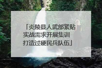 炎陵县人武部紧贴实战需求开展集训 打造过硬民兵队伍