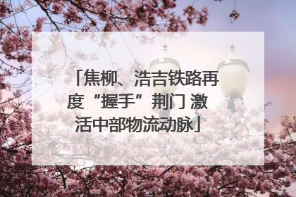 焦柳、浩吉铁路再度“握手”荆门 激活中部物流动脉