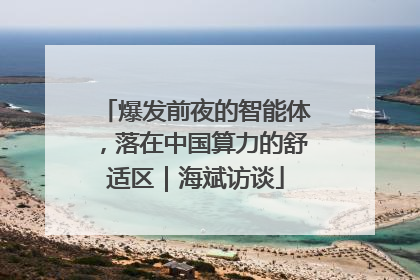 爆发前夜的智能体，落在中国算力的舒适区｜海斌访谈