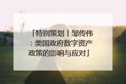 特别策划丨邹传伟：美国政府数字资产政策的影响与应对