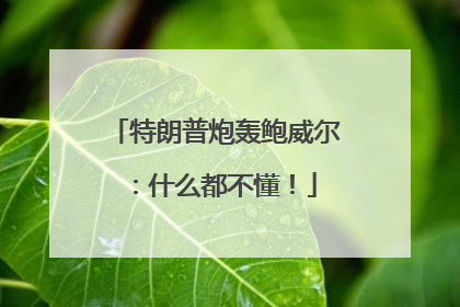 特朗普炮轰鲍威尔：什么都不懂！