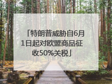 特朗普威胁自6月1日起对欧盟商品征收50%关税