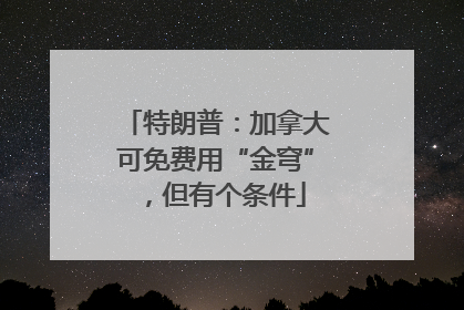 特朗普：加拿大可免费用“金穹”，但有个条件