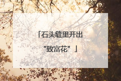 石头缝里开出“致富花”