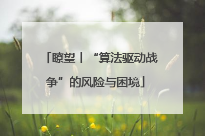 瞭望丨“算法驱动战争”的风险与困境