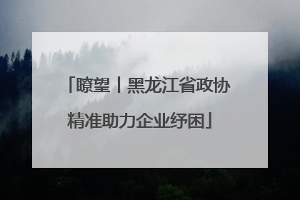 瞭望丨黑龙江省政协精准助力企业纾困