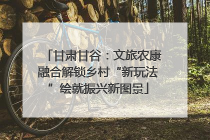 甘肃甘谷：文旅农康融合解锁乡村“新玩法”绘就振兴新图景