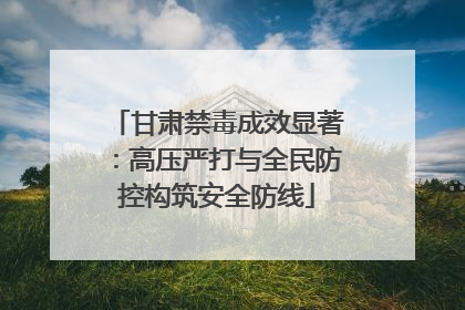 甘肃禁毒成效显著：高压严打与全民防控构筑安全防线