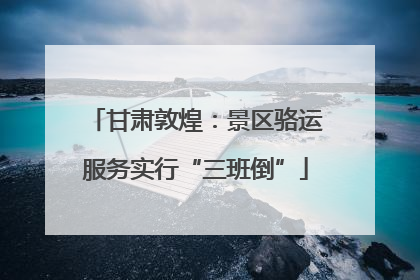 甘肃敦煌：景区骆运服务实行“三班倒”