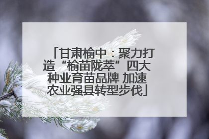 甘肃榆中：聚力打造“榆苗陇萃”四大种业育苗品牌 加速农业强县转型步伐