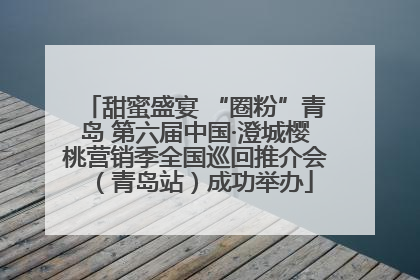 甜蜜盛宴 “圈粉”青岛 第六届中国·澄城樱桃营销季全国巡回推介会（青岛站）成功举办