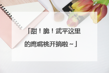 甜！脆！武平这里的鹰嘴桃开摘啦～