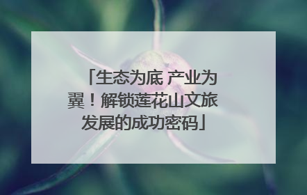 生态为底 产业为翼！解锁莲花山文旅发展的成功密码