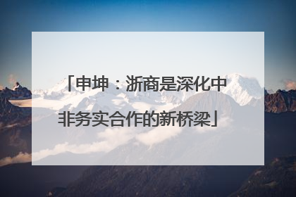 申坤：浙商是深化中非务实合作的新桥梁
