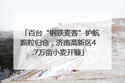 百台“钢铁麦客”护航颗粒归仓，济南高新区4.7万亩小麦开镰