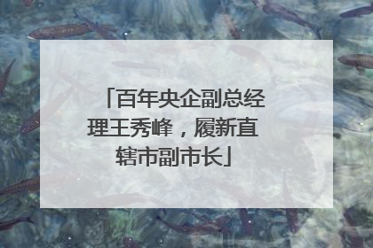 百年央企副总经理王秀峰，履新直辖市副市长