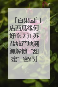 百果园门店西瓜缘何好吃？江苏盐城产地溯源解锁“甜蜜”密码
