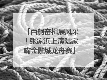百舸奋楫展风采！张家浜上演陆家嘴金融城龙舟赛