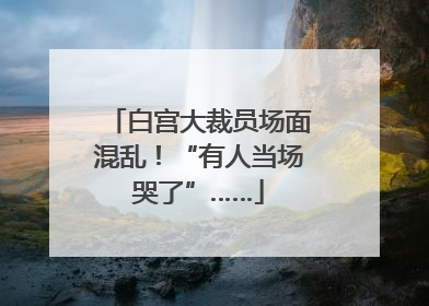 白宫大裁员场面混乱！“有人当场哭了”……