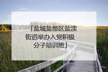 盐城盐都区盐渎街道举办入党积极分子培训班