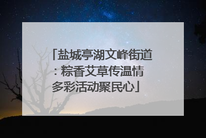 盐城亭湖文峰街道：粽香艾草传温情 多彩活动聚民心