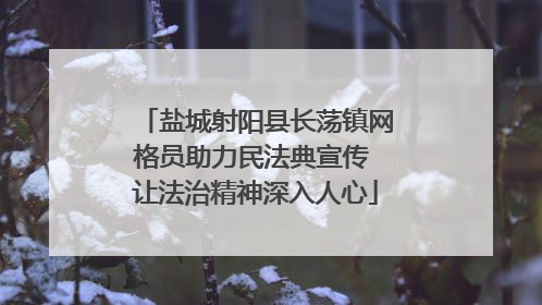 盐城射阳县长荡镇网格员助力民法典宣传 让法治精神深入人心