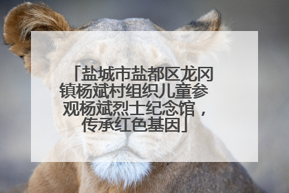 盐城市盐都区龙冈镇杨斌村组织儿童参观杨斌烈士纪念馆，传承红色基因