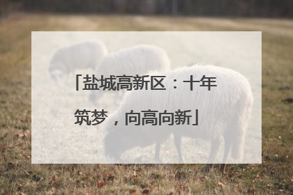 盐城高新区：十年筑梦，向高向新