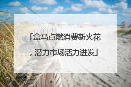 盒马点燃消费新火花，潜力市场活力迸发