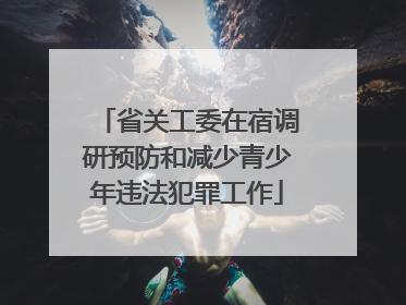 省关工委在宿调研预防和减少青少年违法犯罪工作