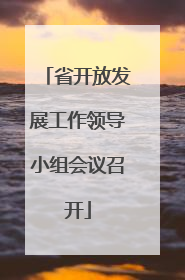 省开放发展工作领导小组会议召开