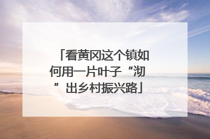 看黄冈这个镇如何用一片叶子“沏”出乡村振兴路
