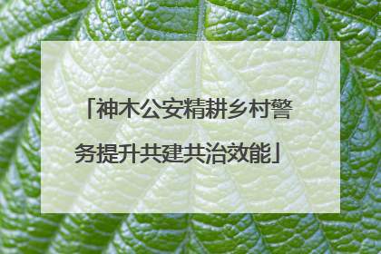 神木公安精耕乡村警务提升共建共治效能