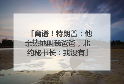 离谱！特朗普：他亲热地叫我爸爸，北约秘书长：我没有