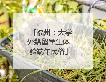 福州：大学外籍留学生体验端午民俗