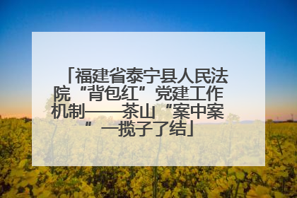 福建省泰宁县人民法院“背包红”党建工作机制——茶山“案中案”一揽子了结