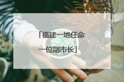 福建一地任命一位副市长