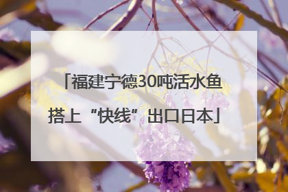 福建宁德30吨活水鱼搭上“快线”出口日本