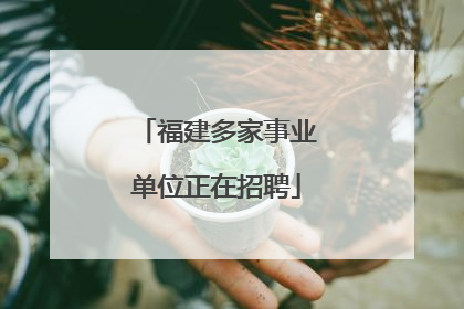 福建多家事业单位正在招聘