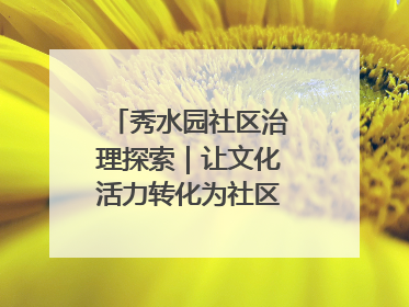 秀水园社区治理探索｜让文化活力转化为社区治理动力