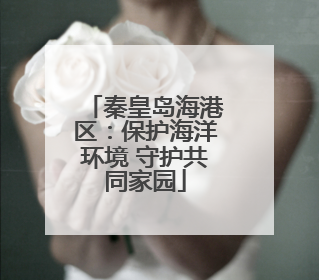 秦皇岛海港区：保护海洋环境 守护共同家园