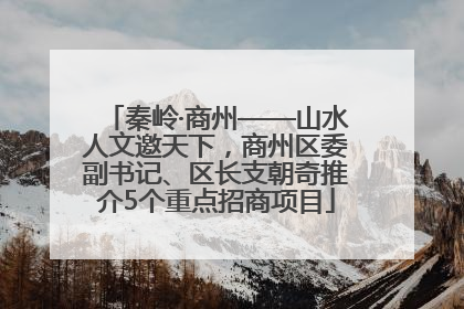 秦岭·商州——山水人文邀天下，商州区委副书记、区长支朝奇推介5个重点招商项目