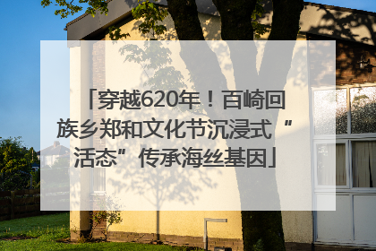 穿越620年！百崎回族乡郑和文化节沉浸式“活态”传承海丝基因
