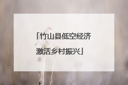 竹山县低空经济激活乡村振兴